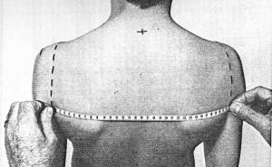 tape body measurement